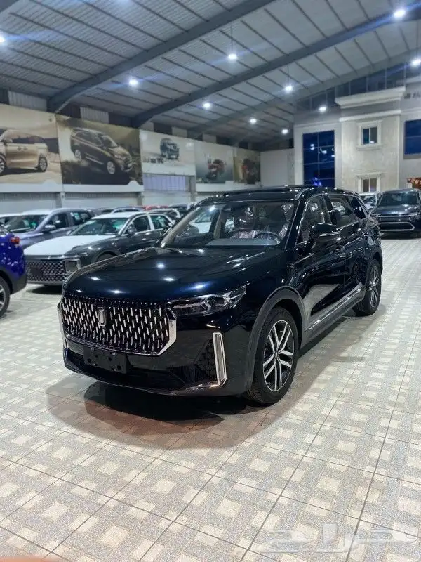 فاو بيستون T99 ليموزين موديل 2023 أصفار بأقوى العروض 1