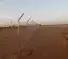 تنفيذ شبوك وزراعه نخيل 7