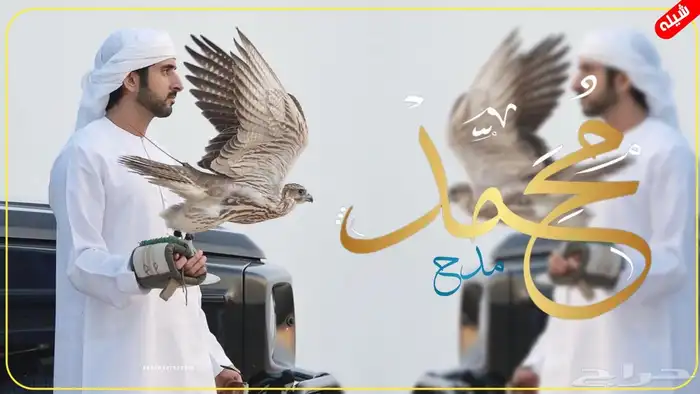 استديو احلام الطرب تنفيذ شيلات 9