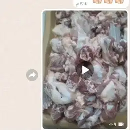 مزرعة ومراح حلال_الديرة لبيع_الذبايح مع خدمةالذبح والتوصيل 7