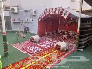 تاجير جلسات تراثيه تاجير خيم تراثيه قهوجي وصبابين 8