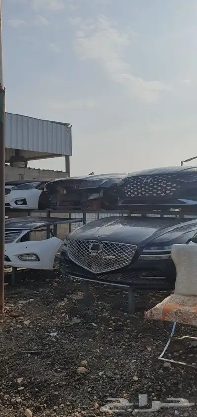 سوناتا كدنزا جنسس ازيرا برادو فونشيرن جميع القطع عليها عش 3
