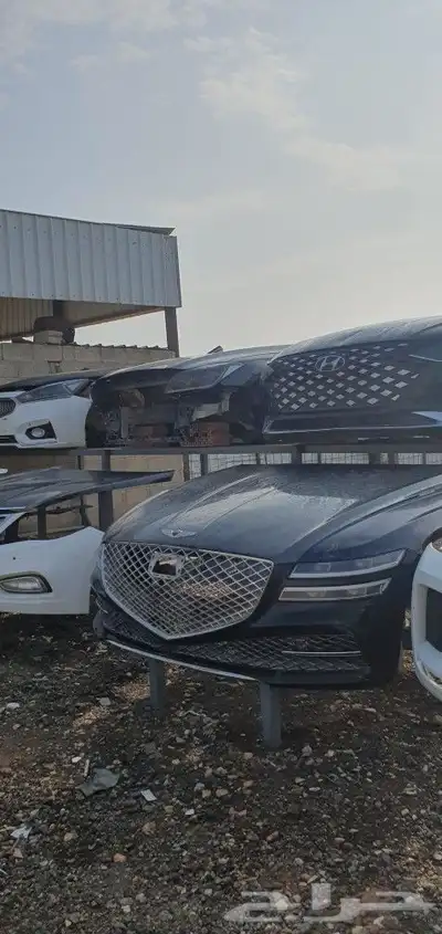 سوناتا كدنزا جنسس ازيرا برادو فونشيرن جميع القطع عليها عش 1
