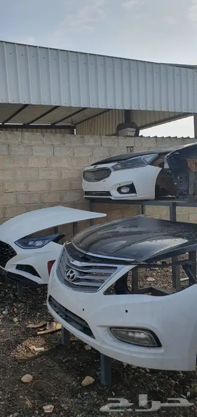 سوناتا كدنزا جنسس ازيرا برادو فونشيرن جميع القطع عليها عش 2