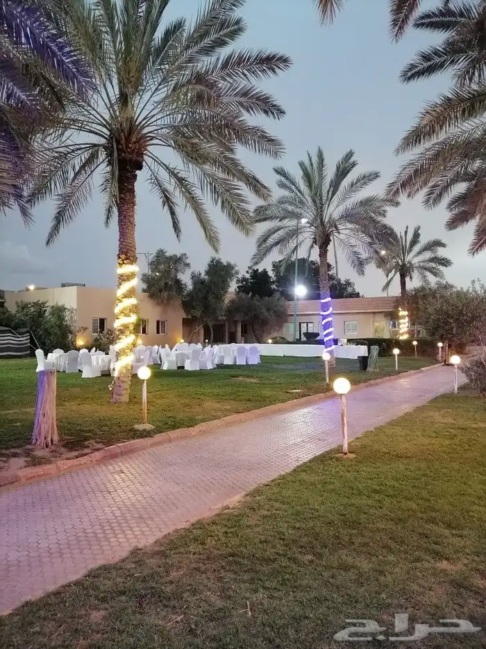 تأجير كنب طاولات طعام خيم شعبيه رمضانيه صبابين قهوجين الرياض 7