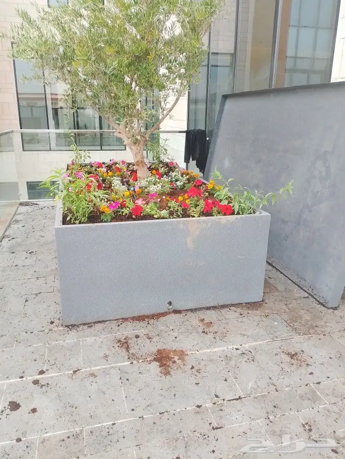 اخر اعمالنا من احواض الفيبر جلاس 4