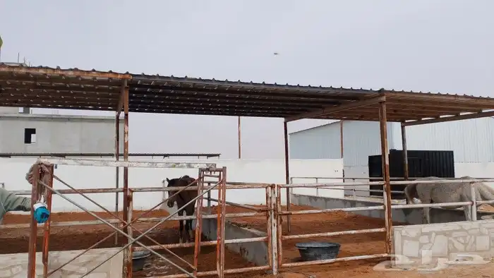 الحداده 2