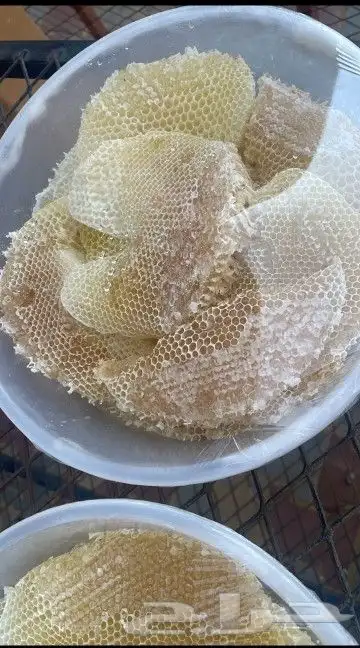 صحون عسل مع شمع أصلي شرط 0