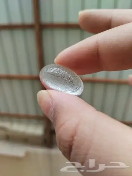 ناب ذيب  جميع الاحجار وااخواتم 11