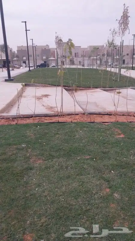 تنسيق حدائق وديكورات 2
