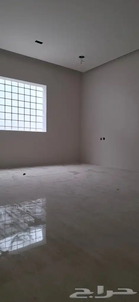 صباغ الاحساء 4