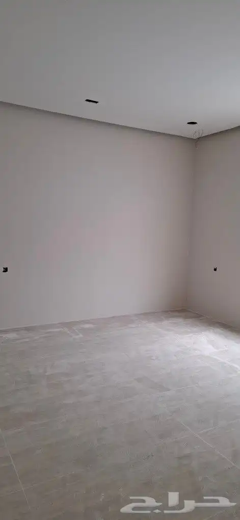 صباغ الاحساء 3