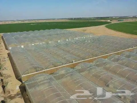 صالات و محميات و بيوت محمية زراعية و مشاتل 2