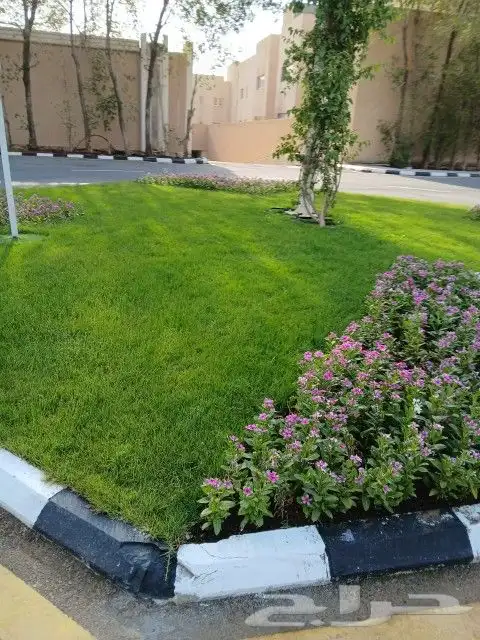 عشب صناعي كل الألوان موكيت امارتى 2