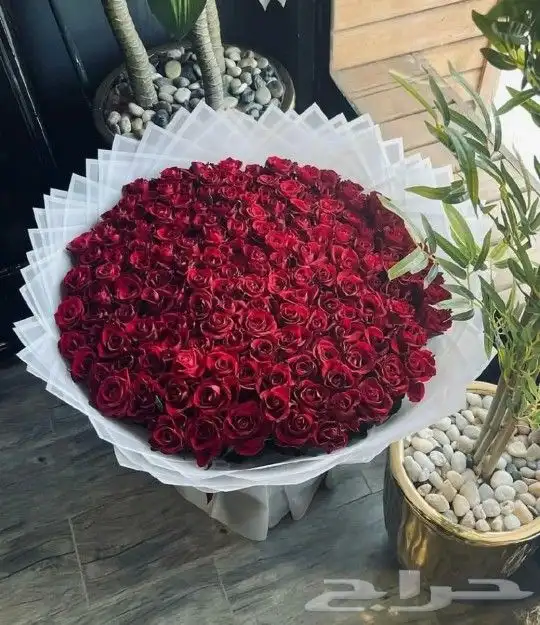 ورد احمر كيك كوفي باتشي بستاني هونفريان هدايا حسب الطلب 9