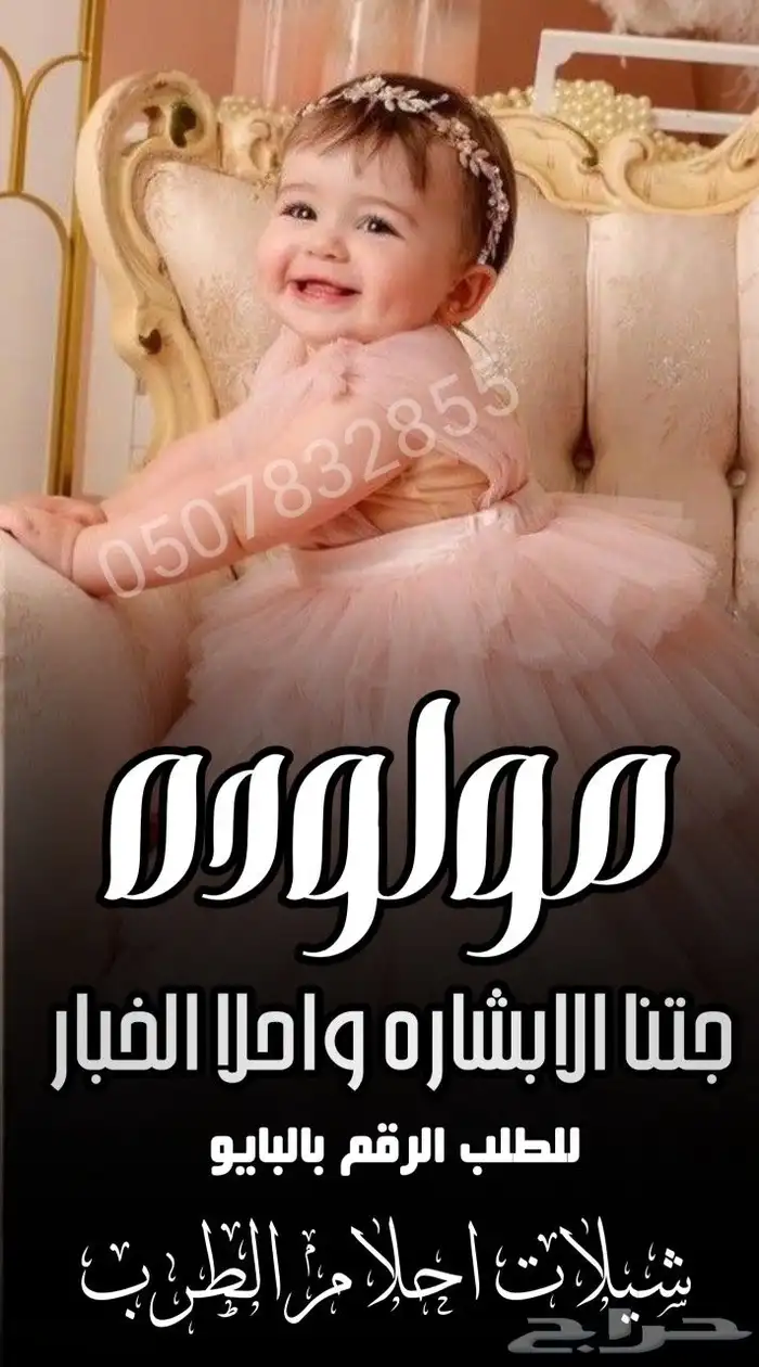 استديو احلام الطرب تنفيذ شيلات 8