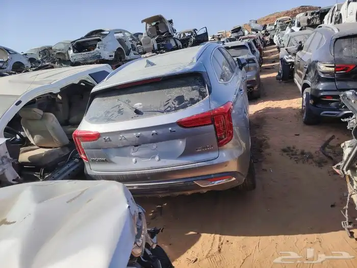 هافال جوليان 0