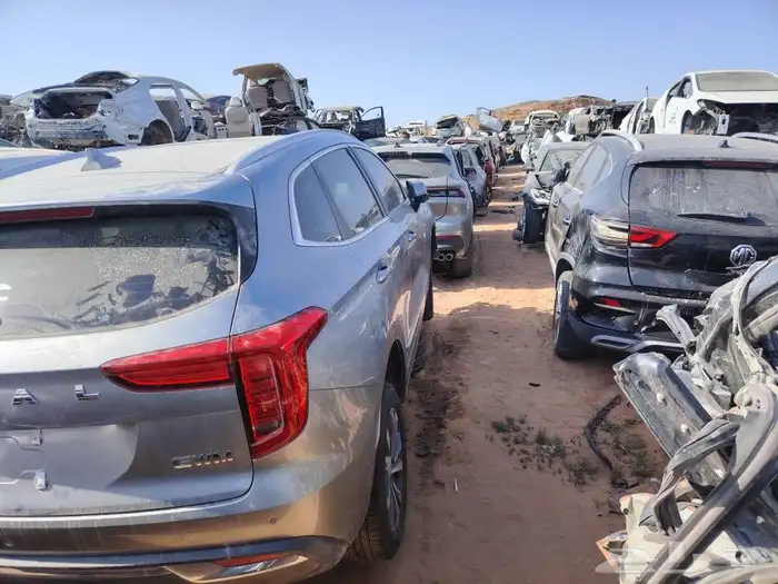 هافال جوليان 1