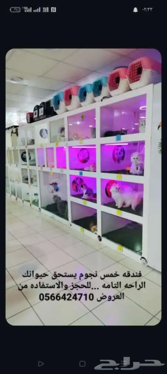 فندقه خمس نجوم لدى هوايه 0