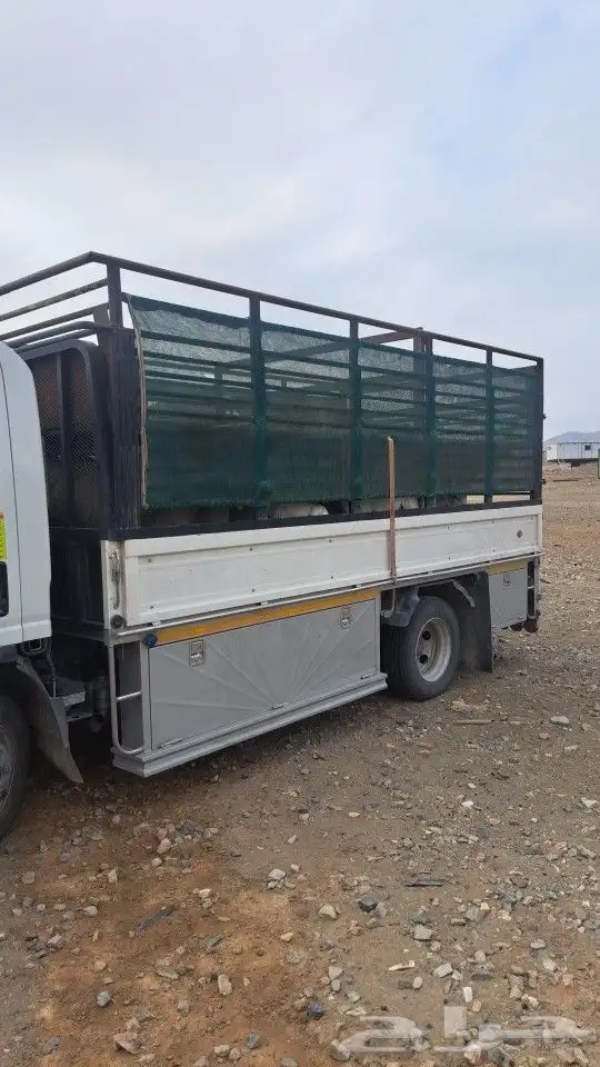 دنا طابقين نقل غنم الي جميع مدن المملكة 0