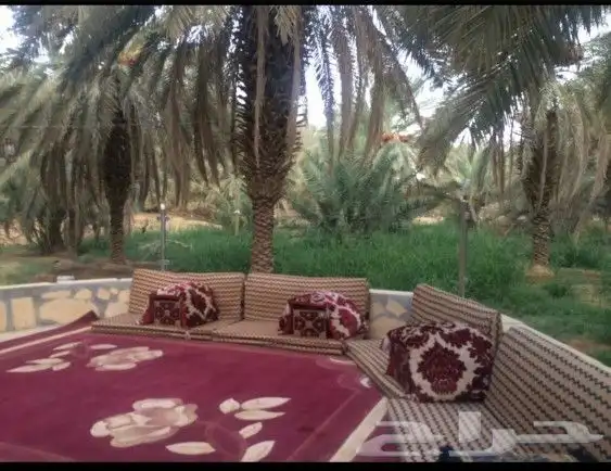 مزرعة للإيجار اليومي 17
