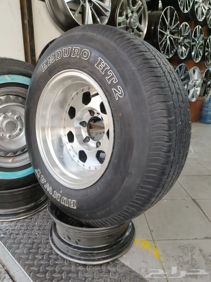 جنوط زيتونه 1