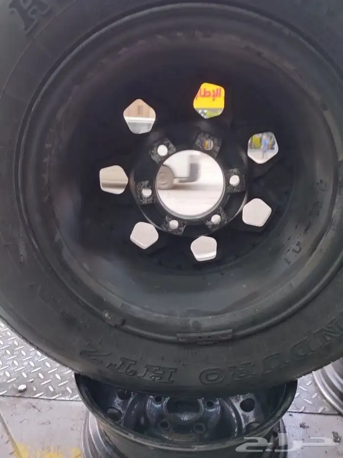 جنوط زيتونه 3