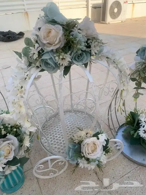 سبتات توزيع 1