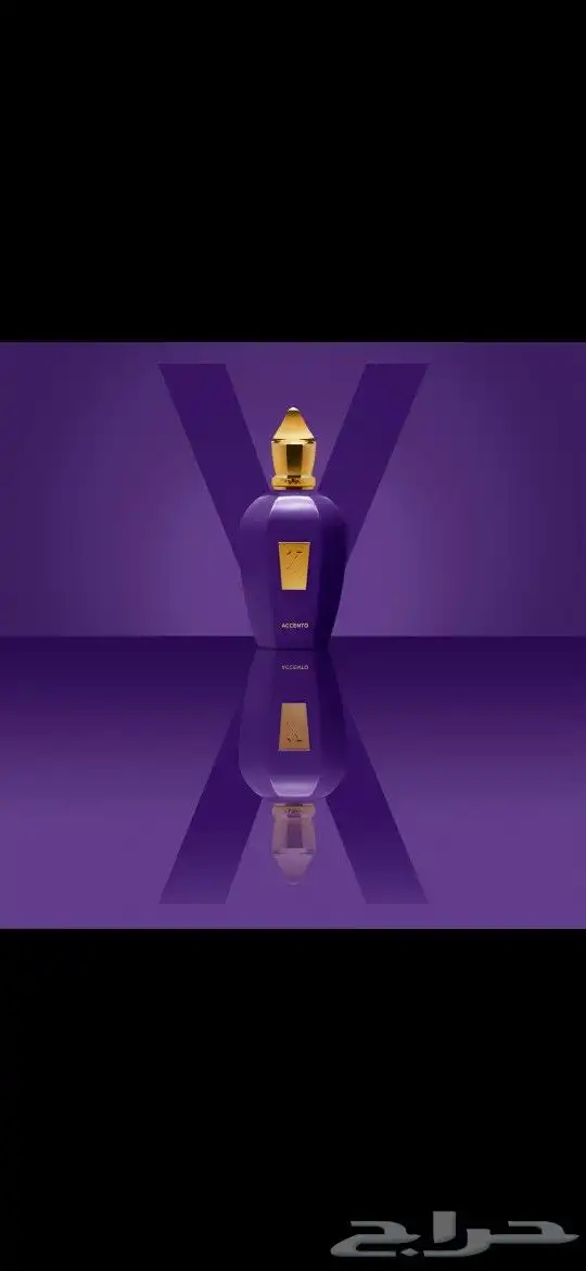 عطر زيرجوف اكسنتو الرائع 5