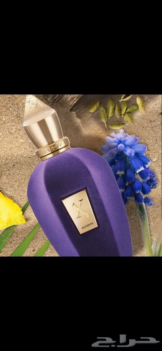 عطر زيرجوف اكسنتو الرائع 3