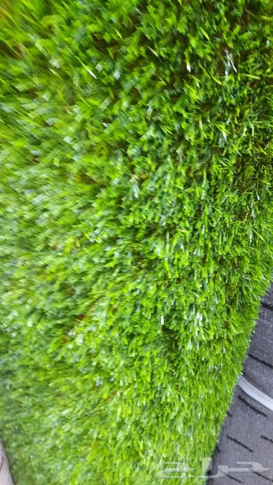 ثيل عشب صناعي لزينة الحدائق والمنتزهات 5