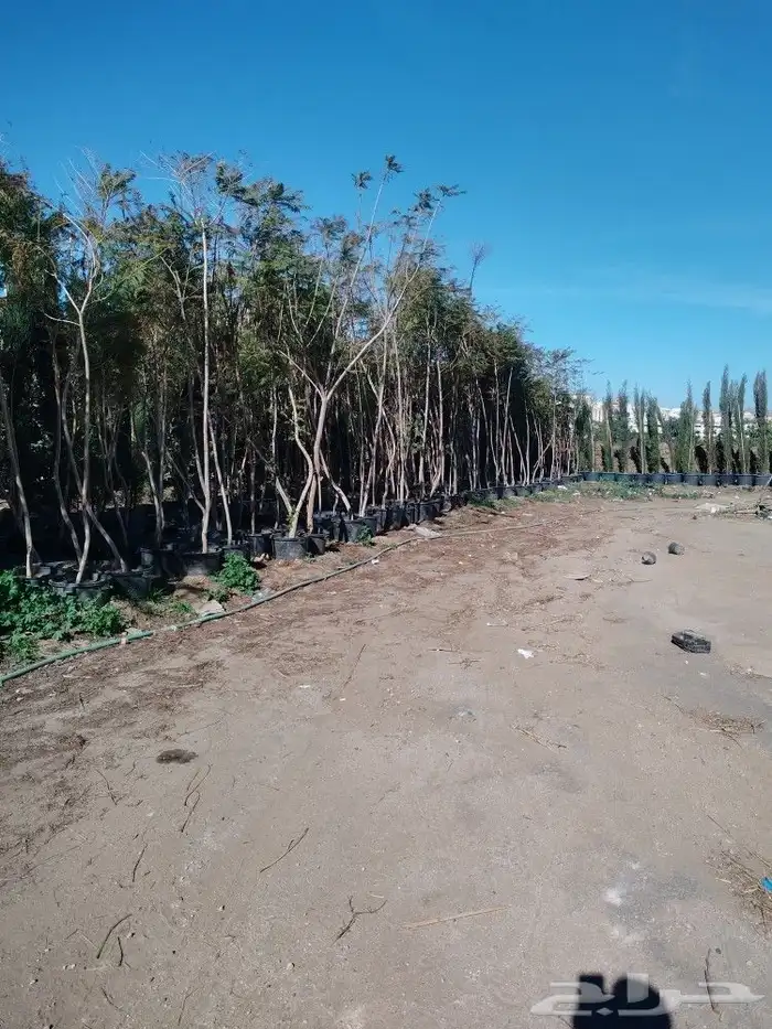 تنسيق حدائق وشبكات ري 12