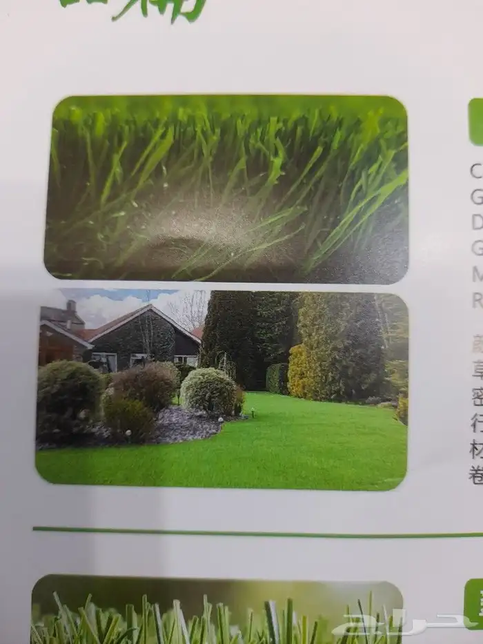 ثيل عشب صناعي لزينة الحدائق والمنتزهات 8