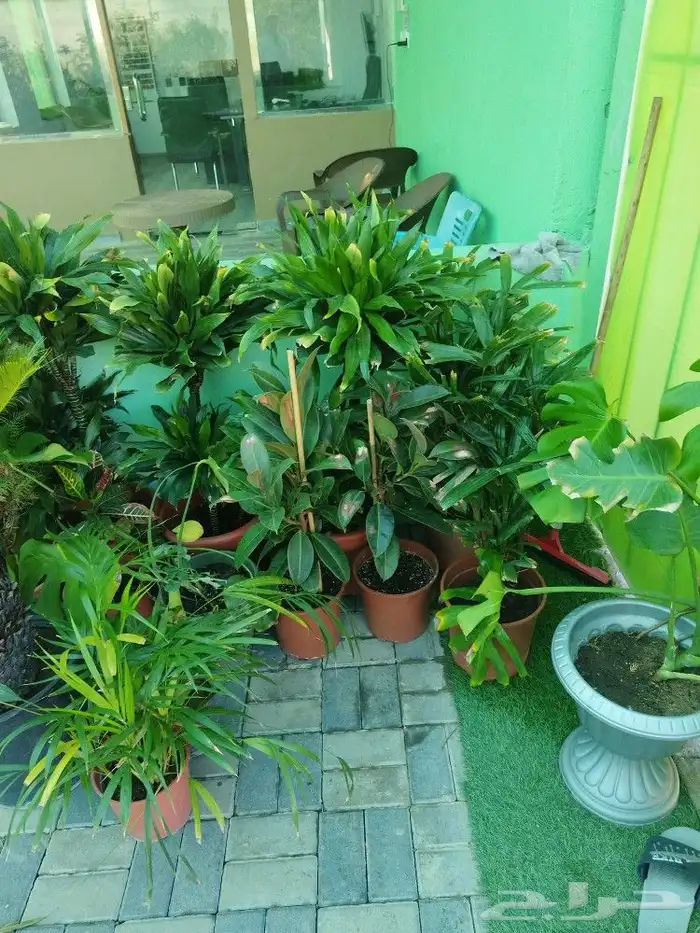 تنسيق حدائق وشبكات ري 6