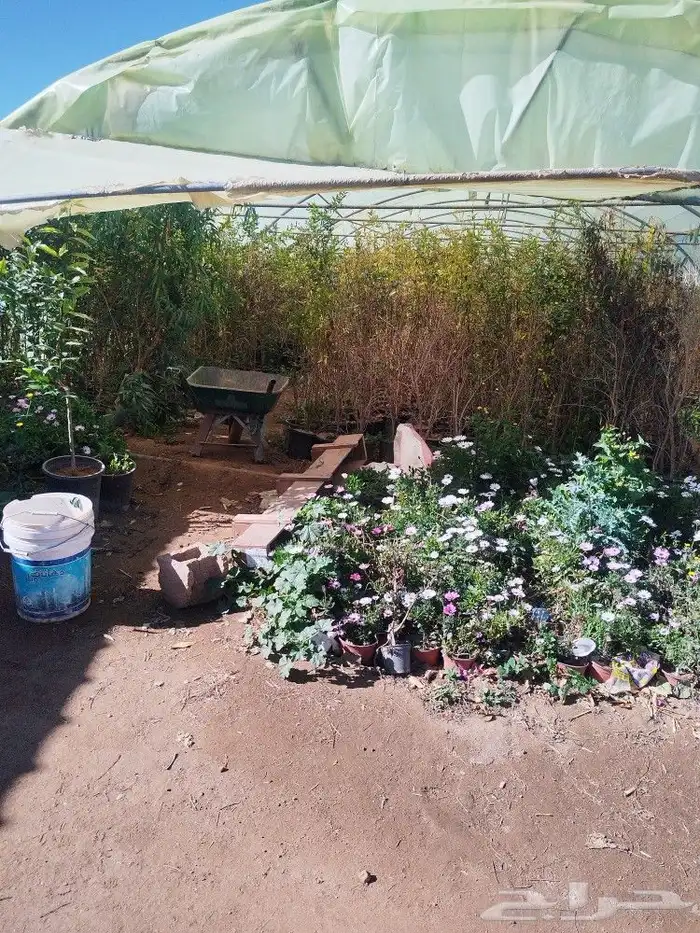 تنسيق حدائق وشبكات ري 18