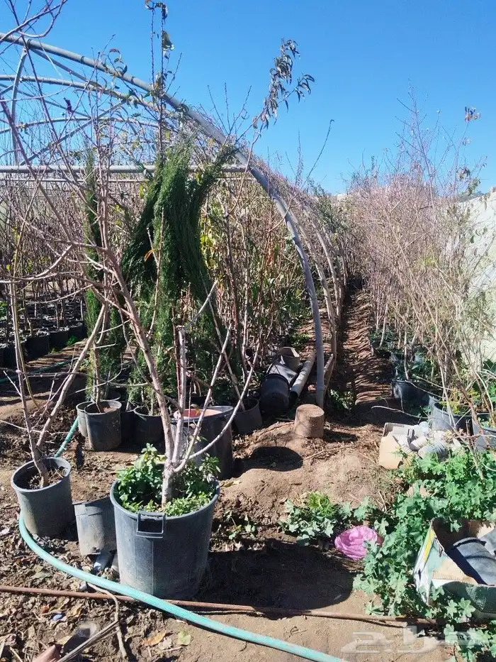 تنسيق حدائق وشبكات ري 22