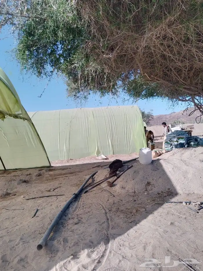 تنسيق حدائق وشبكات ري 26