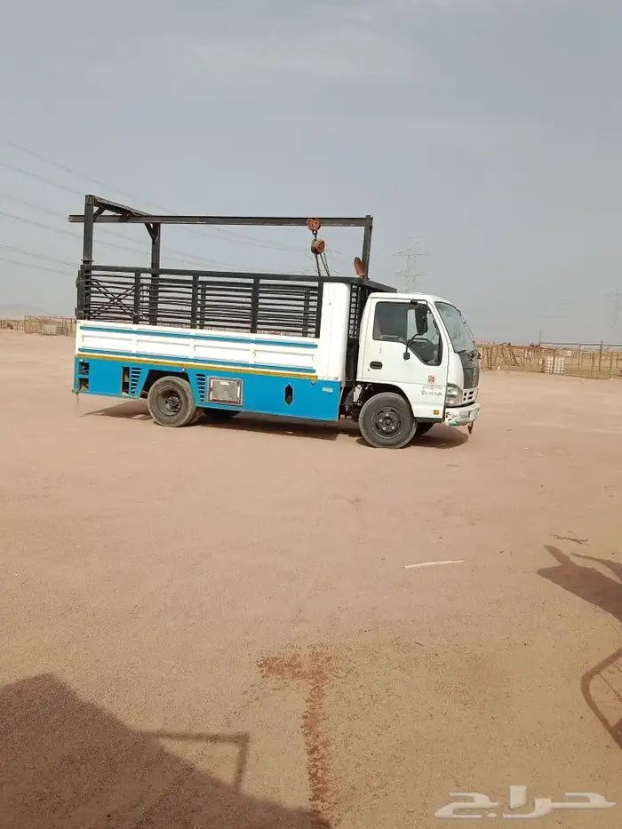 ديانا ونش تحميل الابل والغنم 0