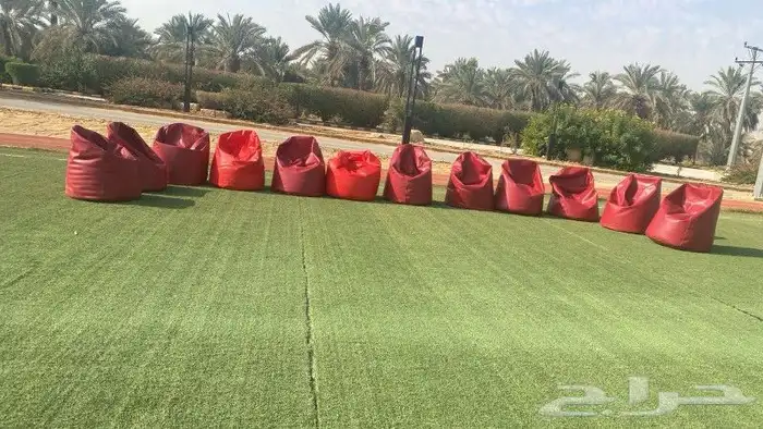 تاجير كراسي بيج 5