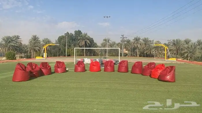 تاجير كراسي بيج 4