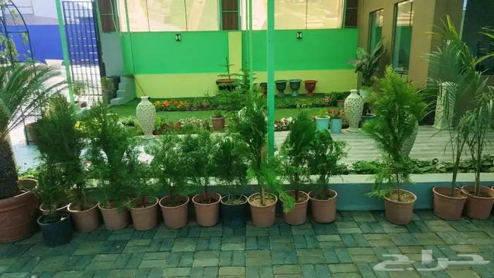 تنسيق حدائق وشبكات ري 1