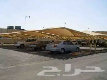 توريد وزراعة النخيل 1