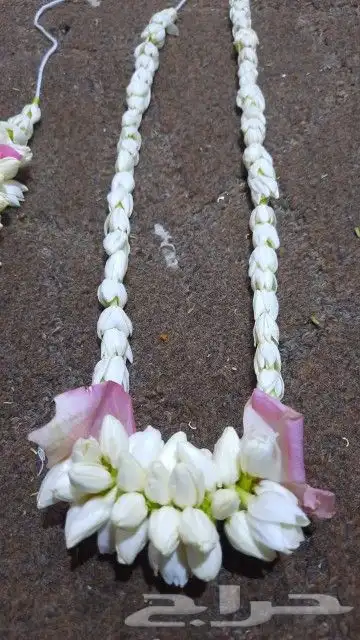 فل اساور فل اطواق النرجس عقود فل 9