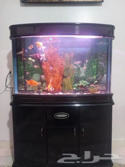حوض سمك عرض 110ارتفاع140ع50 2