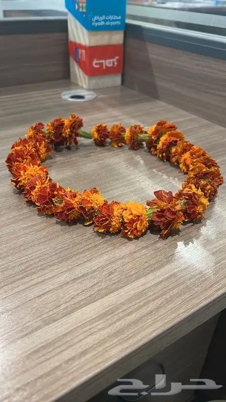 فل اساور فل اطواق النرجس عقود فل 5