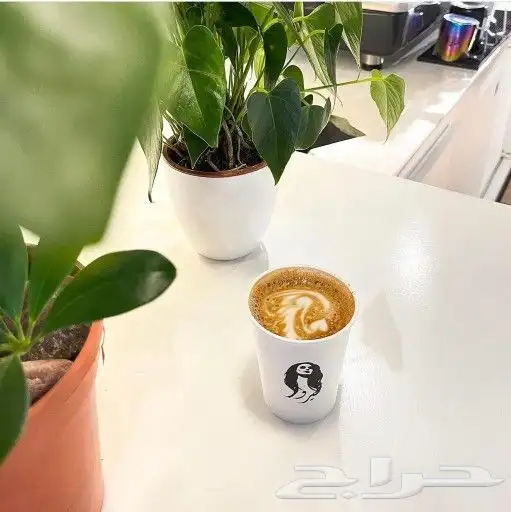 طباعه وتصميم لاكواب الورقيه والبلاتسك بكافه المقاسات 9