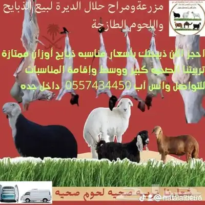 مزرعة ومراح حلال_الديرة  لبيع_الذبايح مع  خدمةالذبح والتوصي 4