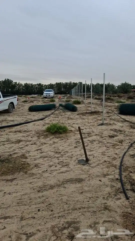 نخل. وشبك جميع المقاسات 3