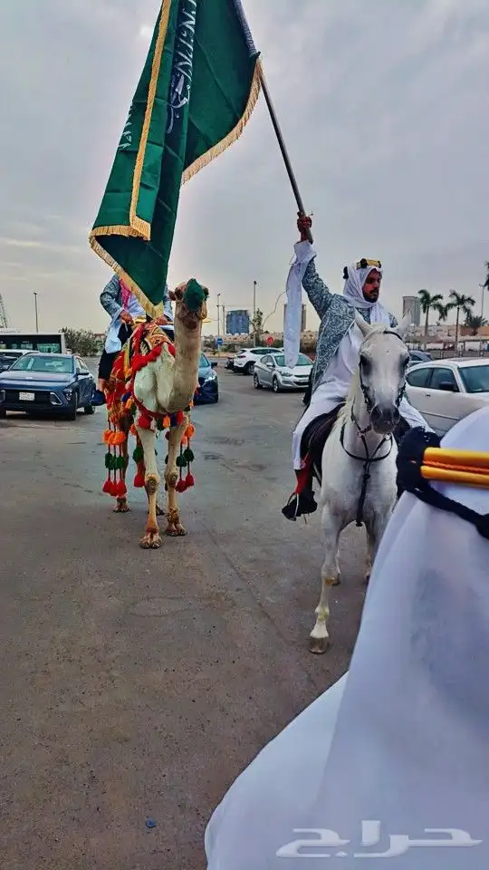 يوجد لدينا خيول وسيسي لي الحفلات ول منسبات مدارس في جده وخرج 0