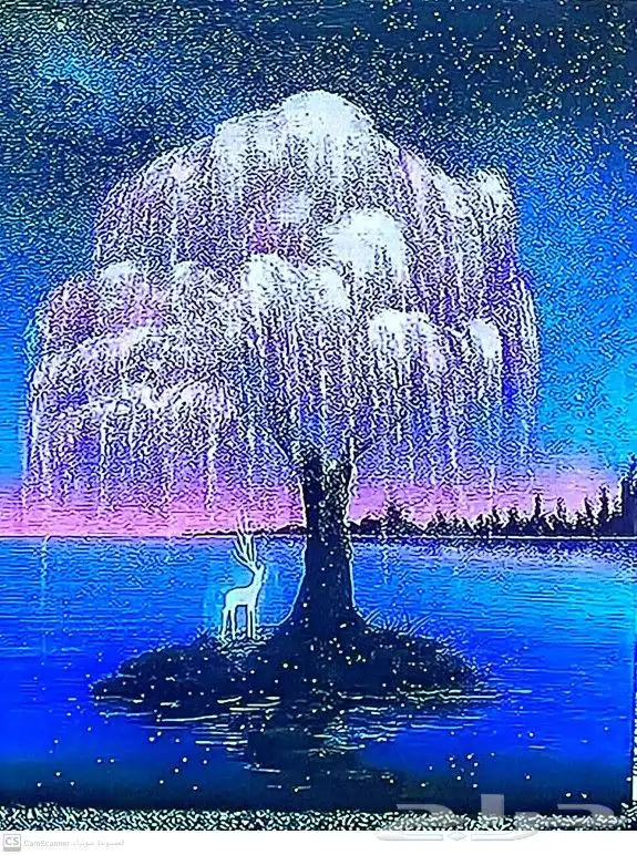 لوحات ابداعيه لطفلتي 3